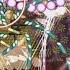 Glorious And Huge Singer By Shijimi Nono Danmakufu Ph3 Hard Mode No Commentary