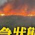 加拿大緊急狀態 野火肆虐1 7萬人撤離 全球現場 20250530 全球大視野Global Vision