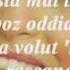 Nancy Salvatore Avallone