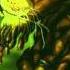 FUKXYOU Ragga Jam Reggae DnB