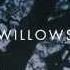 Vanessa Carlton Willows Lyric Video
