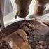 Dog Meat Food Specialfood Streetfood