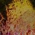 TH EN Carlo Whale Fragments Of Light Extended Mix