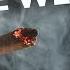 Should Christians Smoke Weed Discover The Ancient ORIGINS Of Hallucinogens