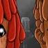 Juice Wrld Both Sides Ft Trippie Redd New Leak