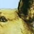 Rocket From The Crypt On A Rope Official Music Video HQ CD Audio Video Quality Upgrade