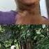 Love You Viral Shorts Funny Song