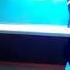 Gúller Ańlamas M ALLANAZAROV QARAQALPAQSHA QOSIQ