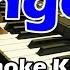 Lungo O Esa Risti Karaoke Lirik Dangdut Koplo Korg PA300 By Iko