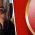 МИХАИЛ ШУФУТИНСКИЙ НАКОЛОЧКА ВЕСЬ АЛЬБОМ 2002 ГОД