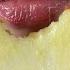 Asmr JUICY APPLE Eating Sounds Mukbang Shorts