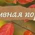 Рассказ Осень на пороге Автор Николай Сладков