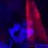 Austra Beat And The Pulse