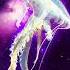 Primal Electric In Silence NEW PSYCHILL EP PRIMORDIAL SOUP