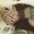 Anders Bodin Hall Of Flames Official Audio