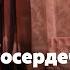 Остросюжетный детектив на весь выходной Чистосердечное призвание Все серии 4 сезона подряд