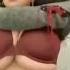 Hot Teen 18 Lesbian Girls Enjoying Hot Sexy Lesbians Hot Girls Shorts Viral