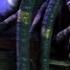PREDATOR Concrete Jungle Full Game Playthrough Longplay HD No Commentary XBox Original PS2 Game