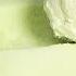 SIMPLY Mix Melon With Milk YUMMY I Cook This Every Day