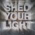 Paul Van Dyk Paul Thomas Ekko Shed Your Light Original Mix VANDIT Records