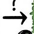 Why Do Rivers Curve