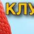 КЛУБНИКА STRAWBERRY Интересные ФАКТЫ о ЯГОДЕ ИНТЕРЕСНО ДЕТКАМ