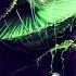 Infected Mushroom Spitfire Stonebank Remix Audiosurf