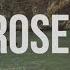 The Chainsmokers Roses Official Lyric Video Ft ROZES