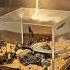 The Sword Of Ali The Lion Of Allah A Story Told Through Glass Shorts Islamichistory Islam