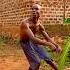 Bad Blaiz Fayah Tribal Kush Magical Dance Moves