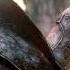 Your Team Is Breaking Forhonor Memes Honor Halo Gaming Funny Friends Friendship Callofduty