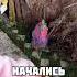 НАСТОЯЩЕЕ ЧУДО