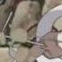 Sasuke Vs Killer Bee AMV HD