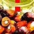 Онколог назвала САМЫЙ ВРЕДНЫЙ для здоровья продукт