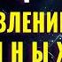 Нейрообновление Нейропластичность и Восстановление Тело в перерождении Обновление Клеток