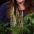 5 Low Light Houseplants Garden Answer