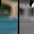 How To Make Videos Black And White In Premiere