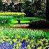 Healing Music For The Heart And Blood Vessels Gentle Music Calms The Nervous System And Pleases