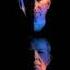 Sasha And John Digweed Coachella Live 230423