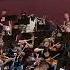 Otto Full Orchestra
