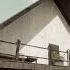 The Stanley Parable Memory Zone Outdoor Ambience