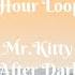 Mr Kitty After Dark 1 Hour Loop