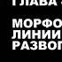 Глава 2 4 Эволюция в Двух Мирах