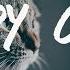 Melanie Martinez Tierra Whack Copy Cat Lyrics