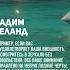 Вадим Зеланд Сосредоточьте внимание на том что хотите получить Shorts Shortsvideo Youtubeshorts