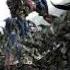 Transformers Born To Be Champions UNSECRET