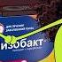 Каждому по факту рядом нужен Лизобакт