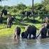 A Magical Sunset Cruise Along The Zambezi River In Zambia Zambia Zambezi Africatravel
