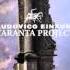Ludovico Einaudi Alessia Tondo Nuvole Bianche Taranta Project