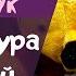 Винни Пух Русский язык и литература